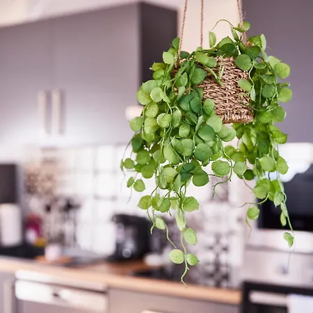 Th 102 F2 En Duplex Confort 1 A 3 Personnes 탄