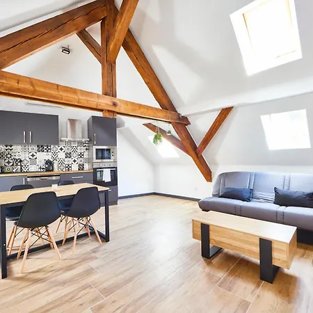 Th 102 F2 En Duplex Confort 1 A 3 Personnes * Thann